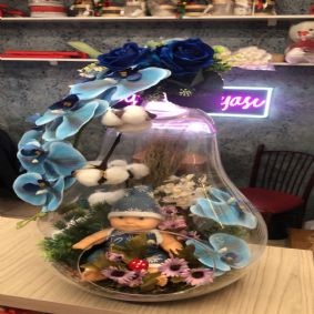 Büyük Boy Erkek Bebek Teraryum