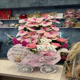 Arabalı Kız Bebek Çiçeği