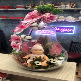 Büyük Boy Kız Bebek Teraryum