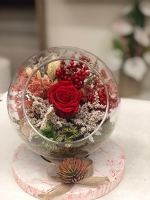 Aşkınıza Solmayan Gül