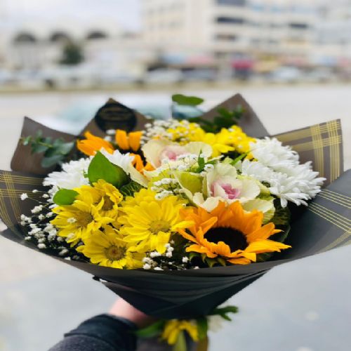 Sarı Papatya Ayçekirdeği