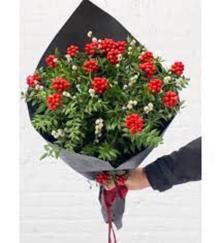 Kokina Şans Çiçeği Buketi