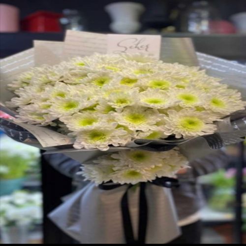 Beyaz Kasıpatı Demeti