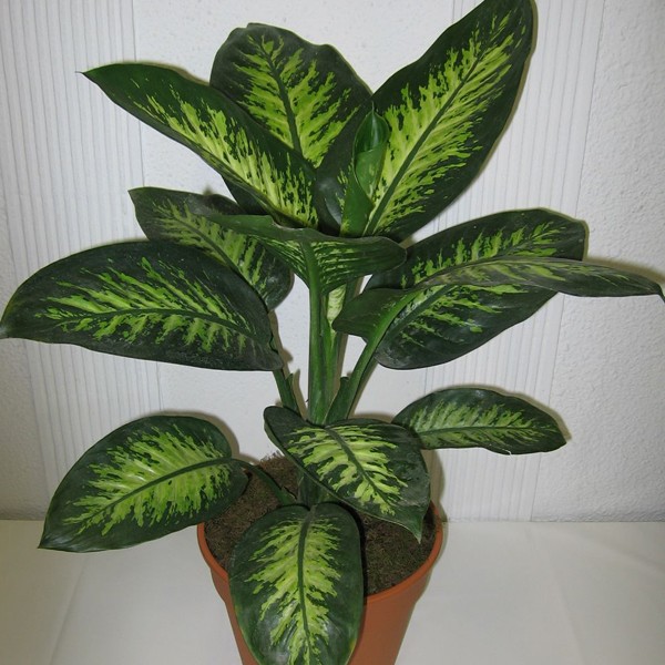 melikgazi cicek siparisi